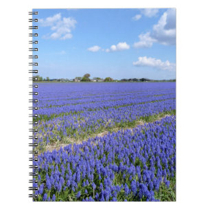 Cuaderno Campo de jacintos