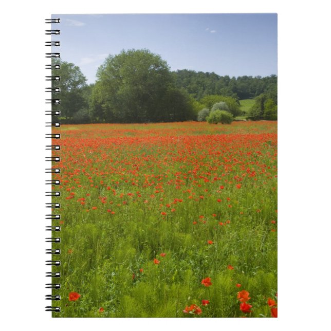 Cuaderno Campo de la amapola, Chiusi, Italia (Frente)