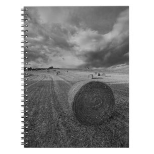 Cuaderno Campo de la cebada de B&W