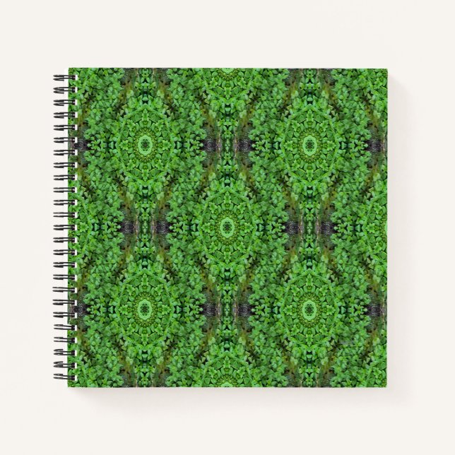 Cuaderno Campo de la Moneda... (Anverso)