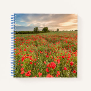 Cuaderno Campo de los Coppies