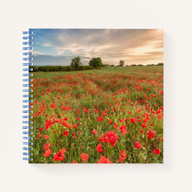 Cuaderno Campo de los Coppies (Anverso)