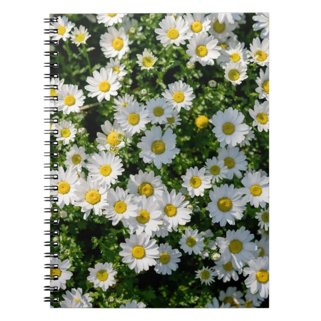 Cuaderno Campo de marea de primavera: fondo sereno (Frente)