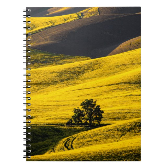 Cuaderno Campo de pradera amarillo en el viento (Frente)