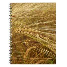 Cuaderno Campo de trigo. ¡Es el momento de la cosecha!
