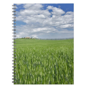 Cuaderno Campo de trigo y camino bordeado por cipreses maje
