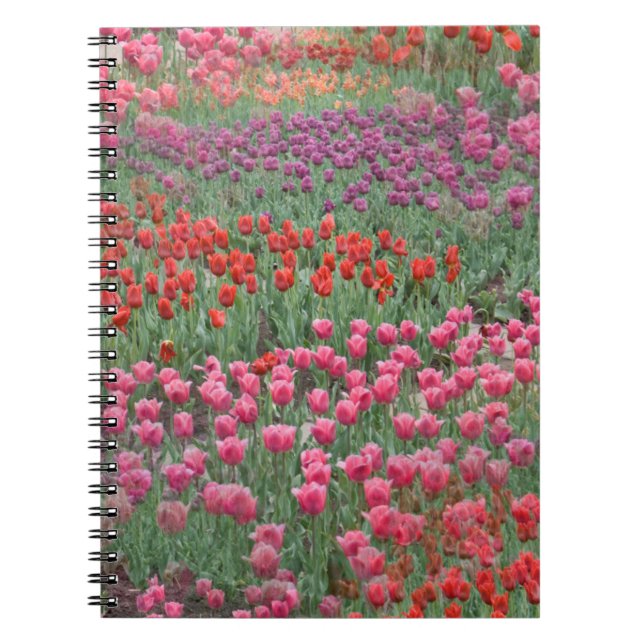 Cuaderno Campo De Tulipanes (Frente)