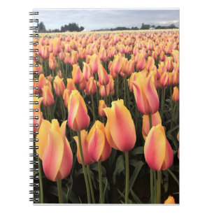 Cuaderno Campo de tulipanes amarillos y rosados, Oregón