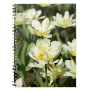 Cuaderno Campo de tulipanes blancos Foto