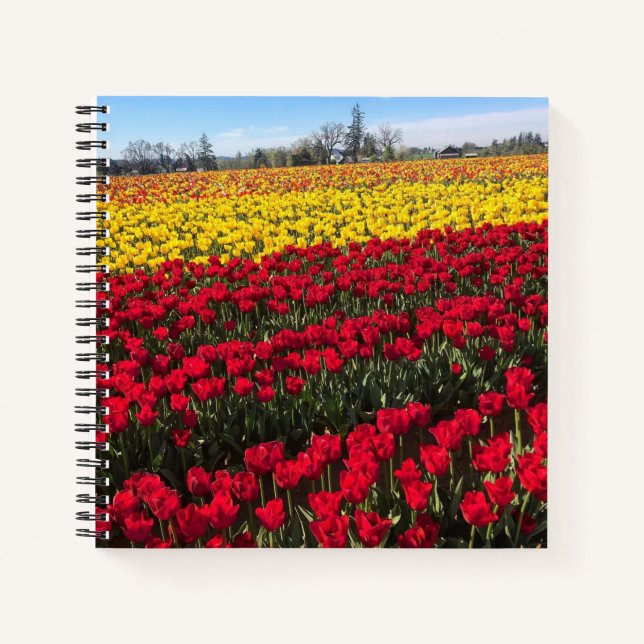 Cuaderno Campo de tulipanes rojo y amarillo (Anverso)