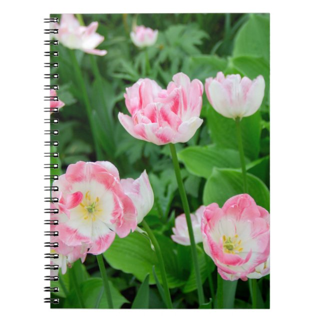 Cuaderno Campo de tulipanes rosados (Frente)