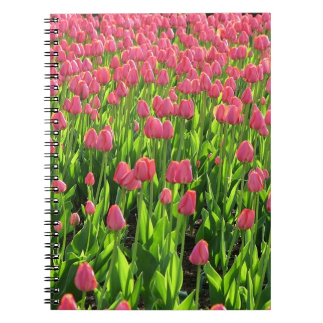 Cuaderno Campo de Tulipanes Rosas (Frente)
