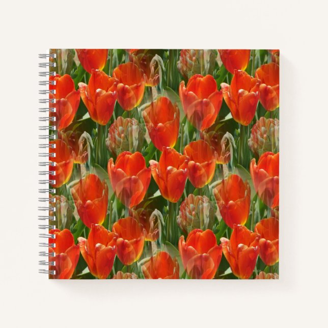 Cuaderno Campo de Tulips......... (Anverso)