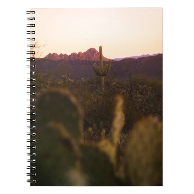 CUADERNO CAMPO GRIS VERDE (Frente)