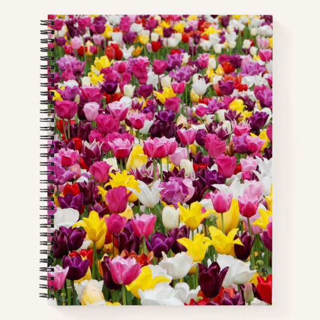Cuaderno campo lleno de tulipanes (Anverso)