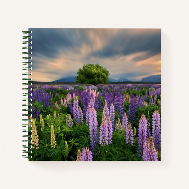 Cuaderno Campo Lupin en Nueva Zelanda (Anverso)