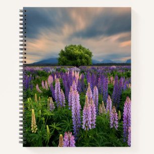 Cuaderno Campo Lupin en Nueva Zelanda