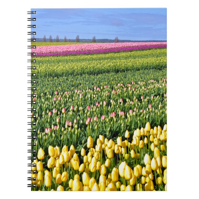 Cuaderno Campo tulipano de primavera (Frente)