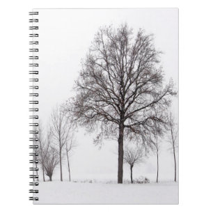 Cuaderno Campos alrededor de Scalenghe Piamonte, Italia