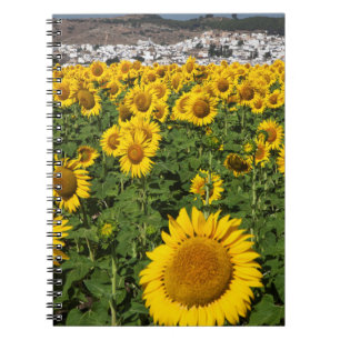Cuaderno Campos de girasoles, pueblo de la colina blanca de