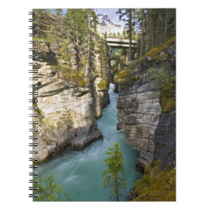Cuaderno Canadá, Alberta, Parque Nacional Jasper, Athabasca
