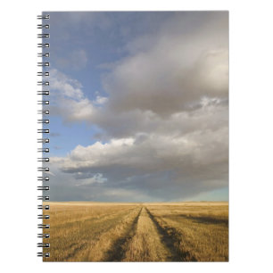 Cuaderno Canadá, Alberta, Stand Off: Paisaje con
