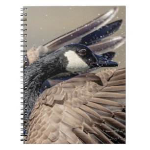 Cuaderno Canada Goose