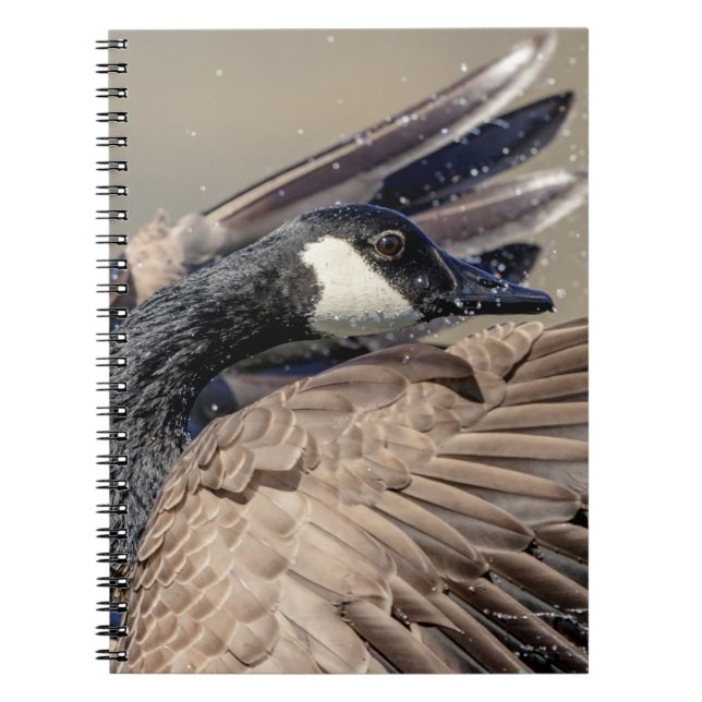 Cuaderno Canada Goose (Frente)