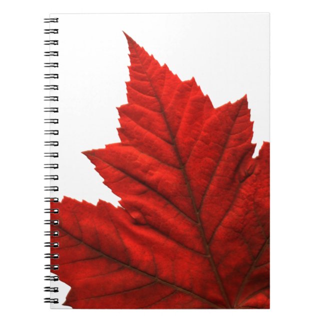 Cuaderno Canadá Journal Souvenir Notebook Canada Sketchpad (Frente)