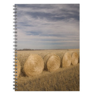 Cuaderno Canadá, Saskatchewan, Craik: Rollos de heno / Otoñ