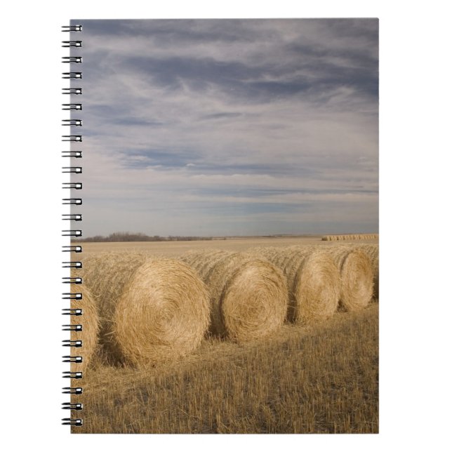 Cuaderno Canadá, Saskatchewan, Craik: Rollos de heno / Otoñ (Frente)