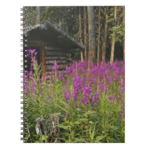 Cuaderno Canadá, Yukón, área de Ross River, Cabaña abandona