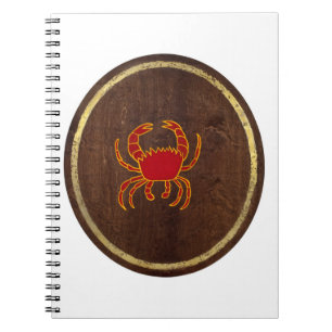 Cuaderno Cáncer 2009