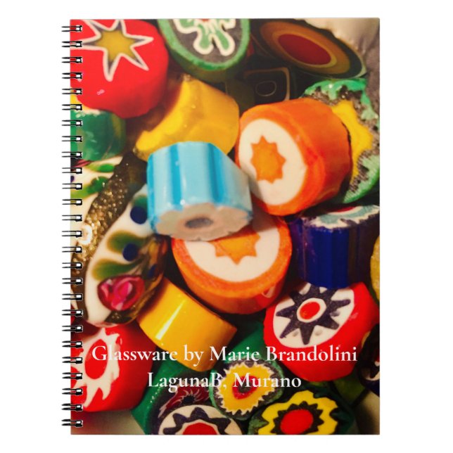 Cuaderno CANDIDATO COMO PIECES MURINE usado por Marie B @La (Frente)