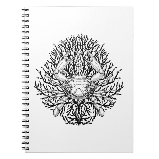 Cuaderno Cangrejo (Frente)