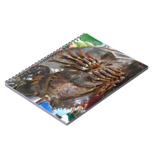 Cuaderno Cangrejo herradura... Comida callejera tailandesa