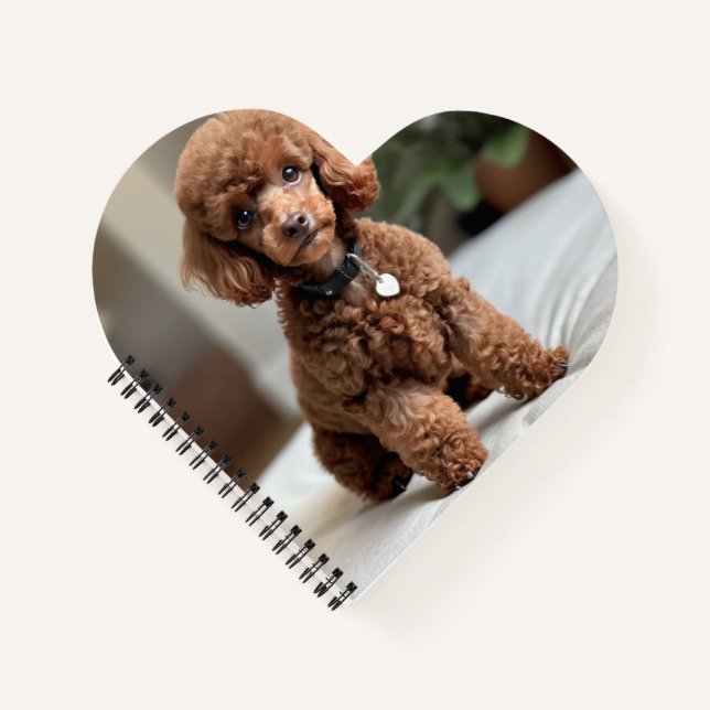 Cuaderno Caniche Enano 2 (Anverso)