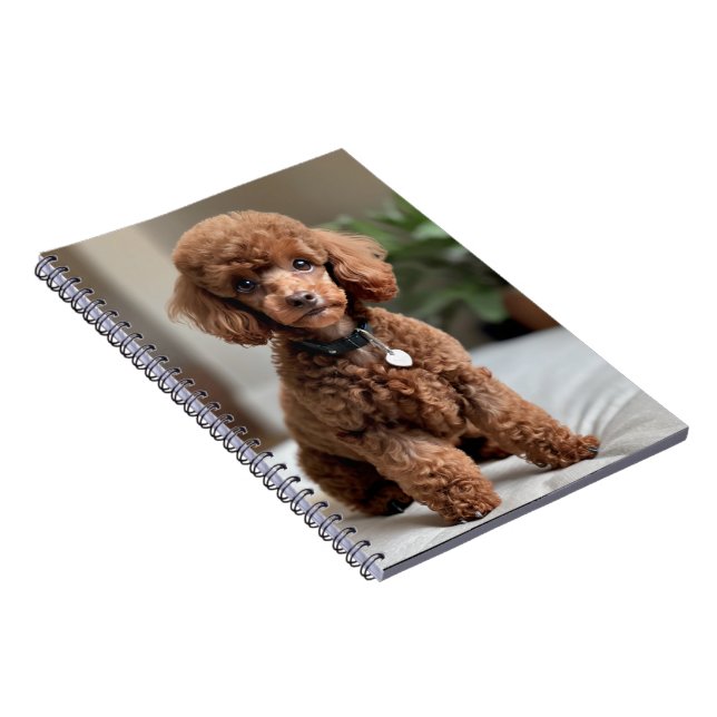 Cuaderno Caniche Enano 2 (Lado Derecho)