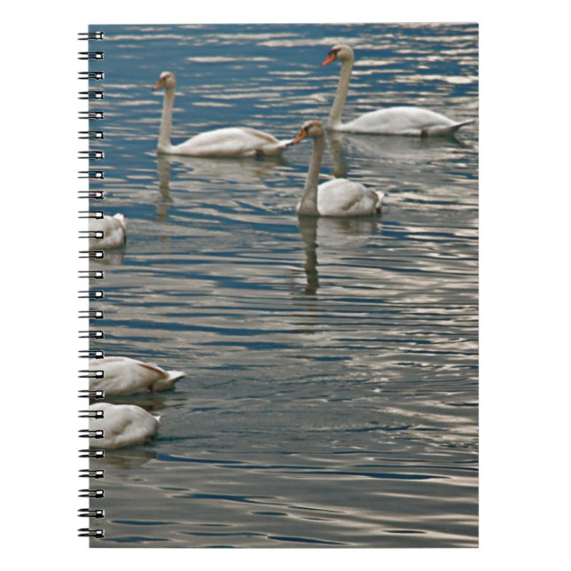 Cuaderno Canto del cisne (Frente)