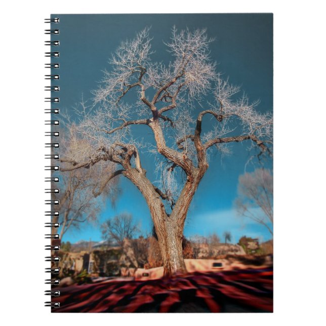 Cuaderno Canyon Road Tree (Frente)