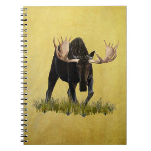 Cuaderno Caos de toro de carga