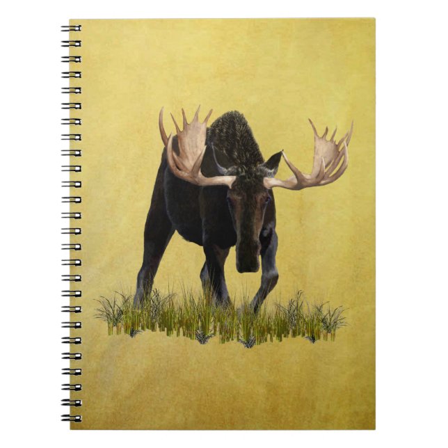 Cuaderno Caos de toro de carga (Frente)