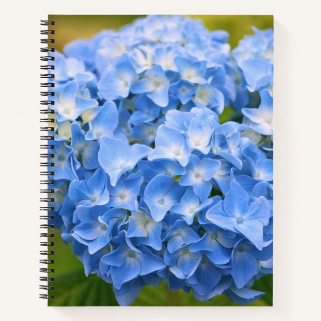 CUADERNO CAPE COD HYDRANGEA NOTEBOOK (Anverso)