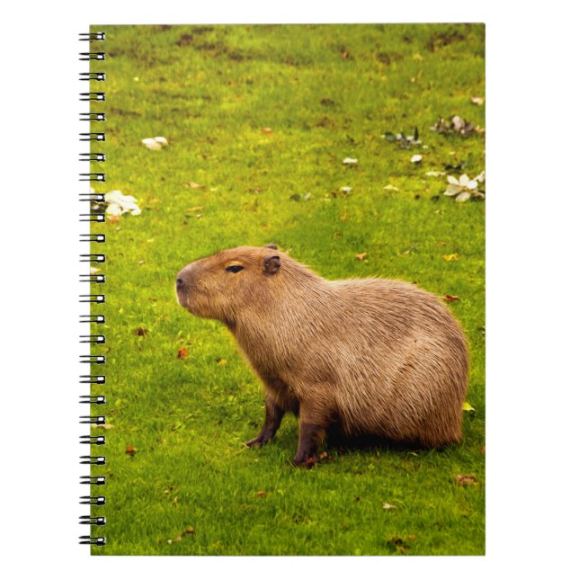 Cuaderno Capibara (Frente)
