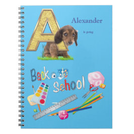 Cuaderno Capitales de los alfabetos de vuelta a la escuela