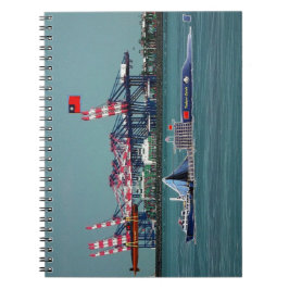 Cuaderno captura del día