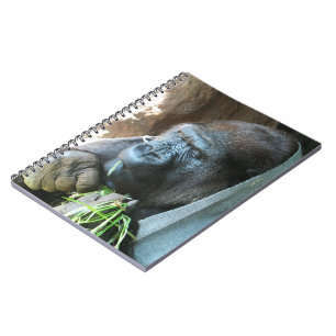 Cuaderno Capucha de simio ~ Comer gorila japonés
