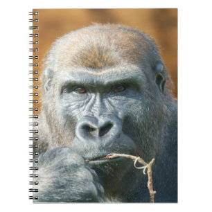 Cuaderno Cara a cara con un gorila