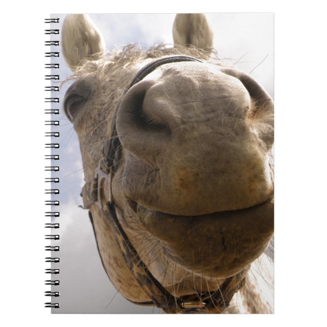 Cuaderno Cara de caballo (Frente)