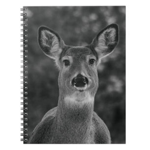 Cuaderno Cara De Cerveza Negra Y Blanca